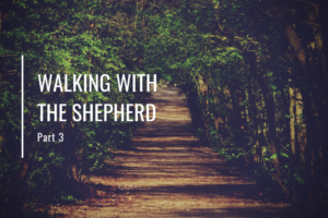 Walking with the Shepherd (Part 3)