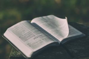 Psalm 18: God, our defence and strength
