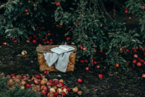 Is Song of Songs about Christ and the church?