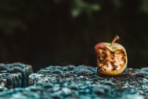 Why does God ‘allow’ social practices that are wrong?