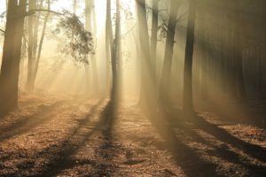 10 things to know about the Holy Spirit