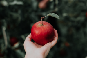 How did Jesus escape original sin?