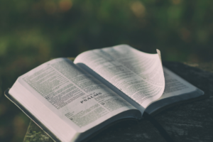 Psalm 14: When the wicked oppress God’s people