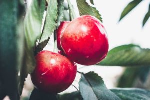 What the Bible teaches about sin