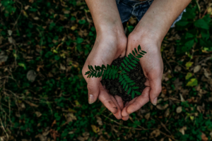 We will reap what we sow