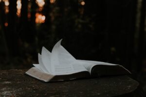 What does ‘the abomination of desolation’ in Mark 13 mean?